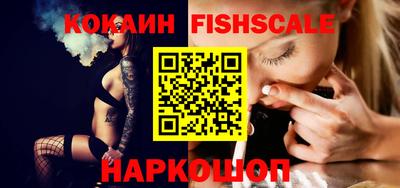 a pvp Камышлов