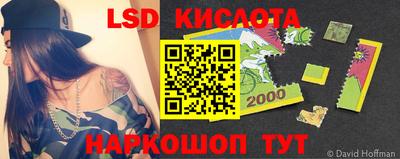 a pvp Камышлов