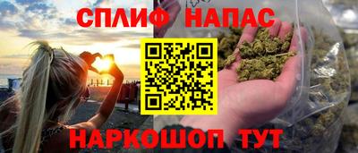 a pvp Камышлов