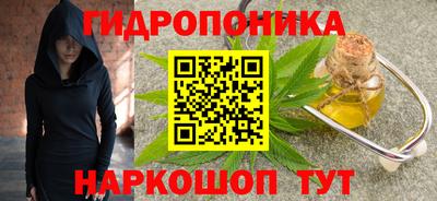 a pvp Камышлов