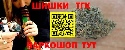 a pvp Камышлов