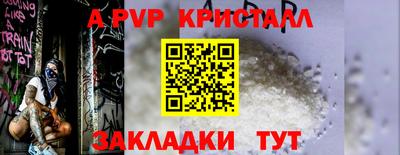 a pvp Камышлов
