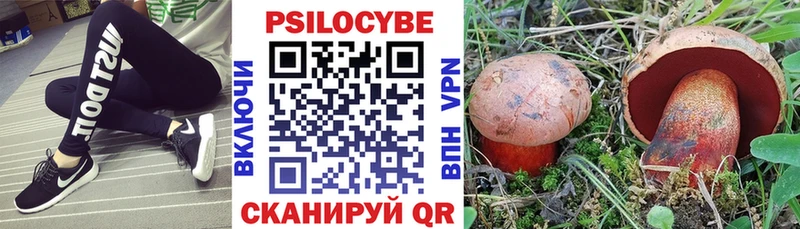 как найти наркотики  Тихорецк  Галлюциногенные грибы Cubensis 